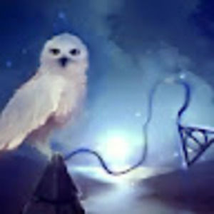 Meet your Posher, Snowy white owl